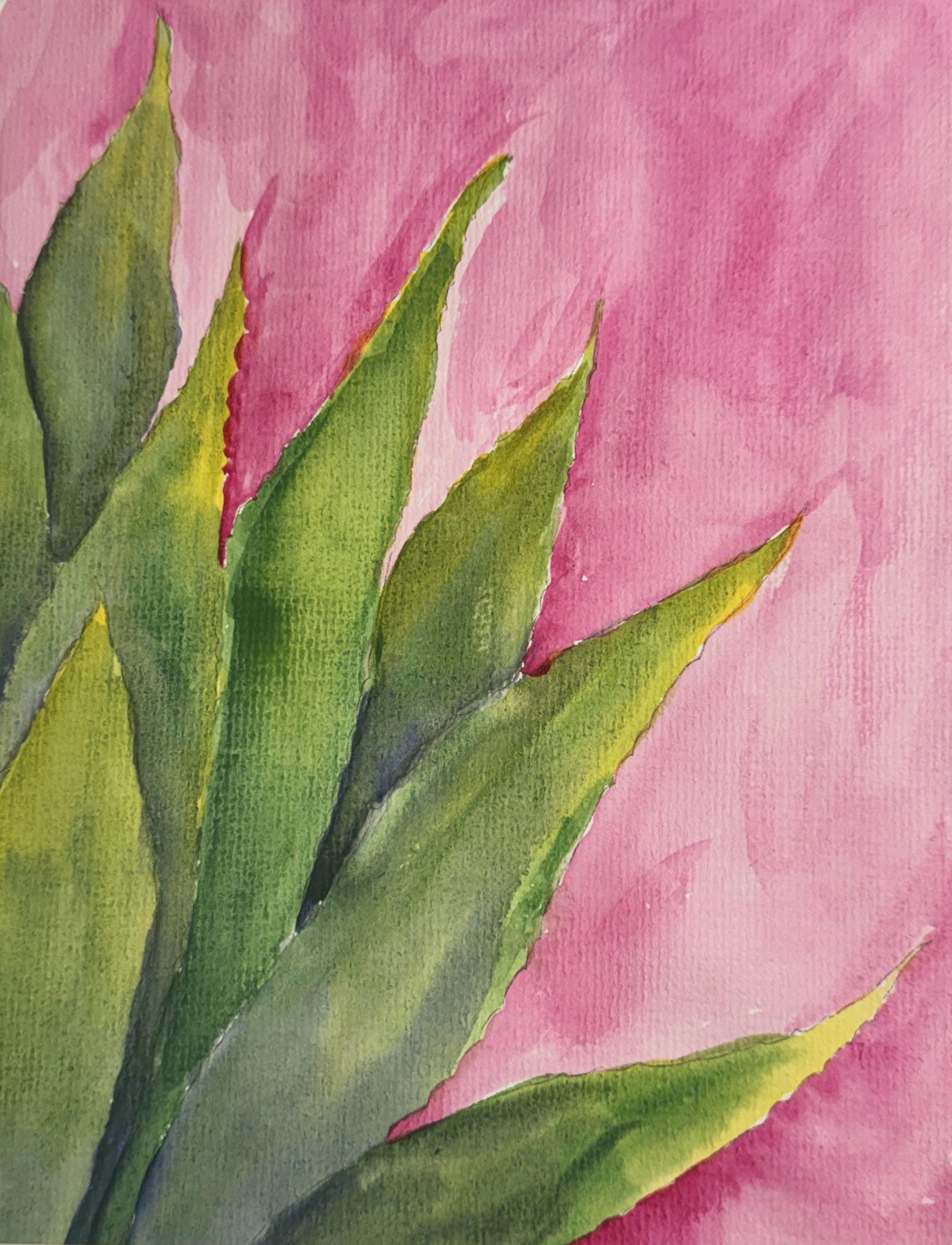 Agave Pink