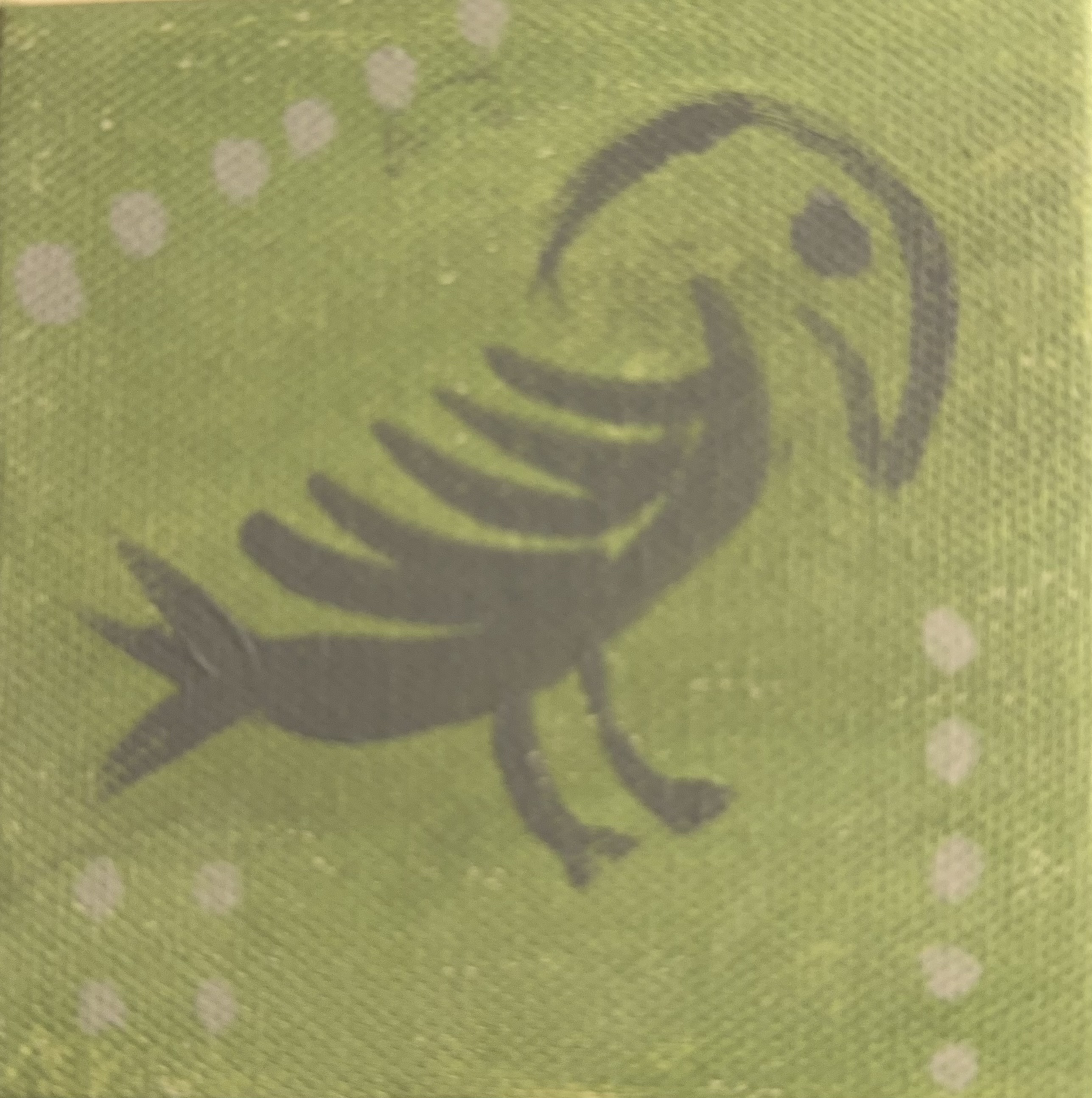 Green or Grey Bird?